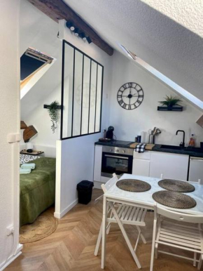 LE DIJONNAIS :Hyper Centre Historique/Moderne/Cosy